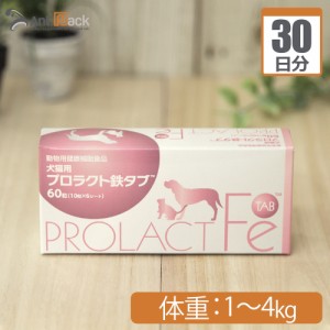 共立製薬 プロラクト鉄タブ 犬用 体重1kg〜4kg 1日1粒30日分