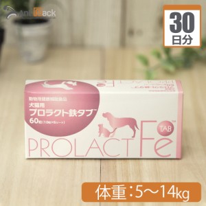 共立製薬 プロラクト鉄タブ 犬用 体重5kg〜14kg 1日2粒30日分