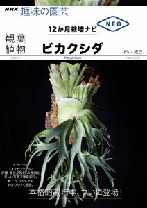 ＮＨＫ趣味の園芸　12か月栽培ナビNEO　観葉植物　ビカクシダ