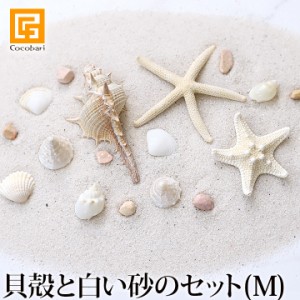 貝殻と白い砂のセット(M) インテリア オブジェ マリン 海 トイレ 玄関 ディスプレイ バリ風 バリ雑貨 おしゃれ