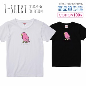 オウム Tシャツ レディース ガールズ かわいい サイズ S M L 半袖 綿 プリントtシャツ コットン ギフト 人気 流行 ハイクオリティー