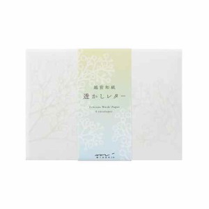 ミドリ 封筒 透かしレター 和紙6枚 色紙6枚 かすみ草柄 洋2 手紙 無罫 かすみ草 お洒落 越前和紙 送料無料