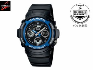 CASIO カシオ AW-591-2AJF