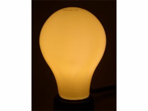 Ｔｏｍｅ/東京メタル LDA7LWG60W-TM  LED電球 口金E26  60W相当 電球色 調光不可 屋内用