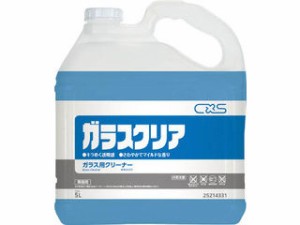 CXS シーバイエス ガラスクリーナー 5L 25214331