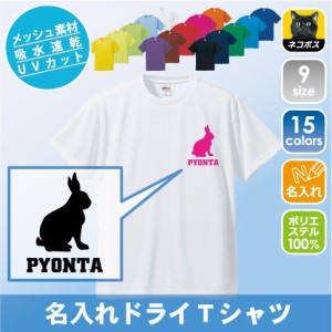 うさぎ/名入れドライTシャツ ウサギ、兎、Rabbit チームTシャツ クラス 卒部記念 吸水速乾 ポリエステル100 紫外線防止 UVカット【dst-