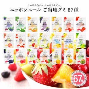 ご当地グミ アソート 全67種類セット ニッポンエール 全国農協食品 お菓子 グミ 名産 果実グミ 国産 果物 くだもの フルーツ