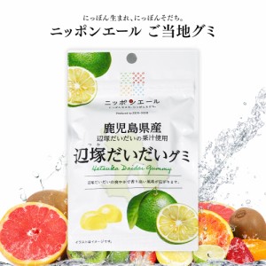 ご当地グミ ニッポンエール 鹿児島県産 辺塚だいだいグミ 名産 果実グミ 全国農協食品 国産 果物 柑橘類 グルメ お土産 日本