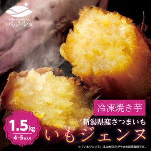 【メーカー直送】さつまいも さつま芋 いもジェンヌ 芋ジェンヌ 送料無料 新潟県産 1.5kg 4〜5本 長期熟成 焼き芋 いも【代引き不可】