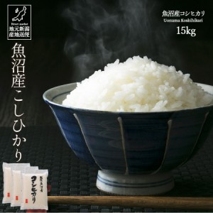 米 お米 15kg 安い 送料無料 令和5年産 魚沼産 コシヒカリ こしひかり 白米 ギフト 贈答 お歳暮 お中元 父の日 母の日 敬老の日 【産地直