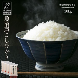 米 お米 20kg 安い 送料無料 令和5年産 魚沼産 コシヒカリ こしひかり 白米 ギフト 贈答 お歳暮 お中元 父の日 母の日 敬老の日 【産地直