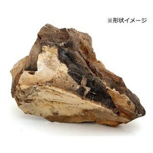 ◇神畑養魚用品 アクアリウムロック 木化石 大 