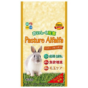 ◇ハイペット パスチャーアルファルファ 400g うさぎ 牧草