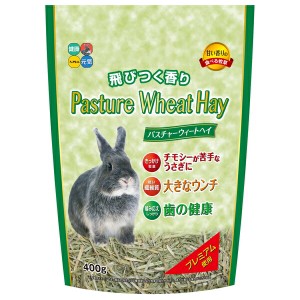 ◇ハイペット パスチャーウィートヘイ 400g うさぎ 牧草