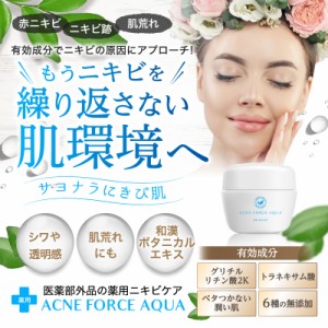 にきび クリーム オールインワン ゲル ニキビ ケア 薬用 ACNE FORCE AQUA アクネケア 肌荒れ 吹き出物 背中 お尻 ニキビ跡 大人 ニキビ用