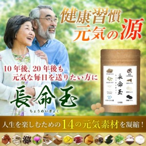 健康維持 元気 サプリ 霊芝 12000mg 高配合 乳酸菌 スピルリナ プロポリス 牡蠣 シジミ カキエキス ウコン アミノ酸 ブロッコリースプラ