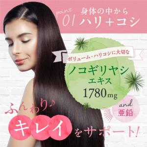 育毛 髪 サプリ 育毛サプリメント 人気 ランキング 女性用 レディース 産後の抜け毛 髪の毛 ケラチン3600mg ノコギリヤシ 1760mg 亜鉛 Bの通販はau Pay マーケット ｂｏｄｙ ｌｉｔｅ ｃｈａｎｇｅ 商品ロットナンバー