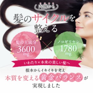 育毛 髪 サプリ 育毛サプリメント 人気 ランキング 女性用 レディース 産後の抜け毛 髪の毛 ケラチン3600mg ノコギリヤシ 1760mg 亜鉛 Bの通販はau Pay マーケット ｂｏｄｙ ｌｉｔｅ ｃｈａｎｇｅ 商品ロットナンバー