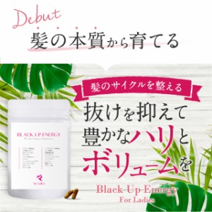 育毛 髪 サプリ 育毛サプリメント 人気 ランキング 女性用 レディース 産後の抜け毛 髪の毛 ケラチン3600mg ノコギリヤシ 1760mg 亜鉛 Bの通販はau Pay マーケット ｂｏｄｙ ｌｉｔｅ ｃｈａｎｇｅ 商品ロットナンバー