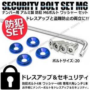 盗難防止 特殊 工具付 ナンバーボルト 4本セット [ブルー] [ボルトサイズ:20] ステンレス トルクスネジ カラー アルミ ワッシャー 汎用 