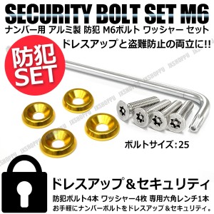 盗難防止 特殊 工具付 ナンバーボルト 4本セット [ゴールド] [ボルトサイズ:25] ステンレス トルクスネジ カラー アルミ ワッシャー 汎用