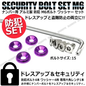 盗難防止 特殊 工具付 ナンバーボルト 4本セット [パープル] [ボルトサイズ:15] ステンレス トルクスネジ カラー アルミ ワッシャー 汎用