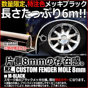 フェンダーモール 幅:8mm 長:6m [メッキブラック] ビス付き ツライチ ハミタイ ドレスアップ 保護 フェンダー 外装 艶 車 汎用 送料無料