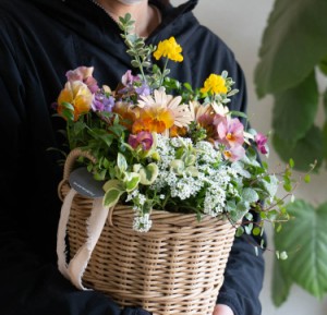 花うるるアレンジ寄せ植え「ジェミニバスケット シリンダ」おまかせ オーダーメイドOK かご ミュールミル 花 ガーデニング 春 玄関 フラ