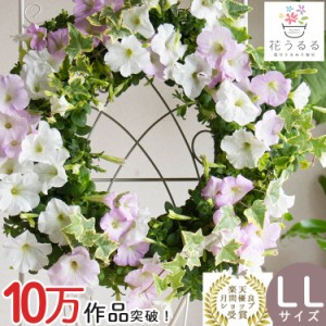 花うるる リース 寄せ植え [シンプル LLサイズ]おまかせ&オーダーメイドOK(オーダーメイド セット ギフト 花 鉢 寄植え 鉢植え 壁掛け ハ