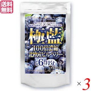 ビルベリー ルテイン サプリ 極藍100倍濃縮北欧産ビルベリー 大容量 360粒 約6ヵ月分 3個セット 送料無料