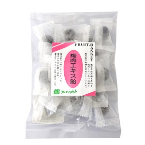 【ポイント倍々！最大+7%】梅飴 梅 飴 フルーツバスケット 梅肉エキス飴 80g 送料無料