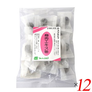 梅飴 梅 飴 フルーツバスケット 梅肉エキス飴 80g12個セット 送料無料