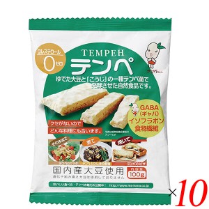 テンペ（レトルト）100g 10個セット マルシン食品 国産 大豆ミート 大豆肉 送料無料