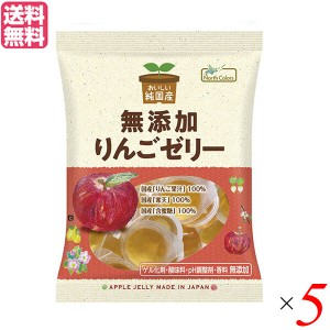 ゼリー ギフト フルーツゼリー ノースカラーズ 純国産りんごゼリー 11個 5個セット 送料無料