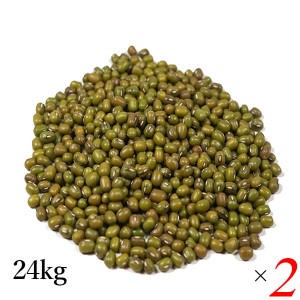 ムング豆 小豆 緑豆 業務用 アリサン ムング豆 24kg 2個セット 海外認証