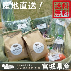 【送料無料・産地直送】岩沼みんなの家のお米・野菜詰め合わせセット★お米2kg・直売野菜5〜6種 箱いっぱい 詰め込み過ぎ 宮城 岩沼産　 