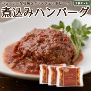 国産 ハンバーグ グラスフェッドビーフ 3食分 冷凍レトルト 温めるだけ 牛肉 放牧 牧草牛 お取り寄せ ［送料込/冷凍便・冷蔵同梱可］