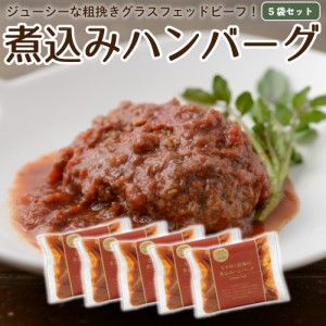 国産 ハンバーグ グラスフェッドビーフ 5食分 冷凍レトルト 温めるだけ 牛肉 放牧 牧草牛 お取り寄せ ［送料込 /冷凍・冷蔵同梱可］