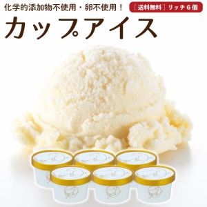 母の日  ギフト プレミアム アイスクリーム 6個 送料無料 無添加 生クリーム 詰め合わせ スイーツ 卵不使用 ギフト お取り寄せ ［冷凍］ 