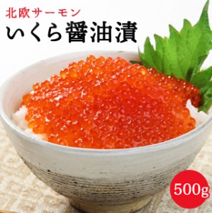 北欧サーモンいくら醤油漬 500g 送料無料 小粒 お取り寄せグルメ 