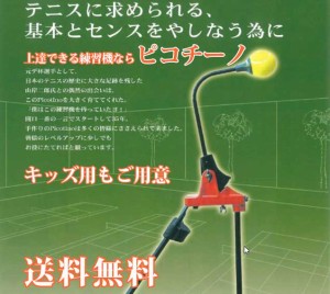 テニス練習機ならピコチーノお部屋でいつでもテニスの練習が出来ます 簡単取りつけの交換ボールを交換すれば、軟式・硬式・硬式やわらか