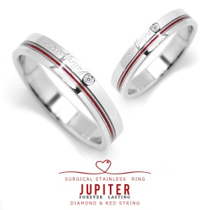 ジュピター 指輪 リング 送料無料 サージカルステンレスリング 天然ダイヤモンド入り ペアで持てるRING JUPITER ジュピター 316L 金属ア