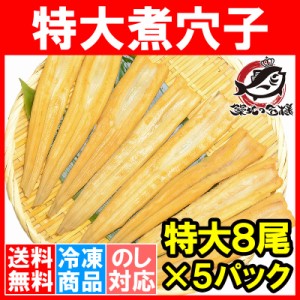 送料無料 穴子 あなご アナゴ やわらか煮穴子 合計40尾 8尾×5パック 合計1.25kg 特大20cm前後 煮あなご 煮アナゴ 煮穴子 穴子丼 あなご