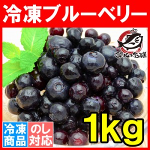 冷凍ブルーベリー 1kg 500g×2パック 爽やかな酸味のブルーベリーをたっぷりと！【ブルーベリー 冷凍ブルーベリー 完熟ブルーベリー ヨナ