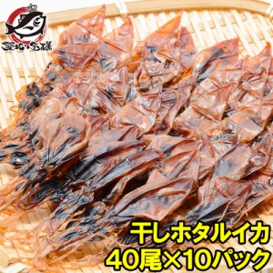 送料無料 ホタルイカ 素干し 干しほたるいか40尾×10パック シーズン最盛期の富山産ほたるいか干物は大きくて旨みが凝縮 ほたるいか ほた