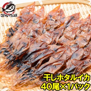 ほたるいか 素干し 干しホタルイカ40尾×1パック シーズン最盛期の富山産ほたるいか干物は大きくて旨みが凝縮 ほたるいか ほたるイカ 蛍