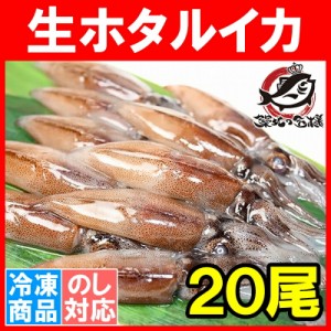 生ホタルイカ ほたるいか 20尾 約150g お刺身ＯＫ！新物ほたるいか。シーズン最盛期！富山産ほたるいかは大きくぷりぷりの食感！【いか 