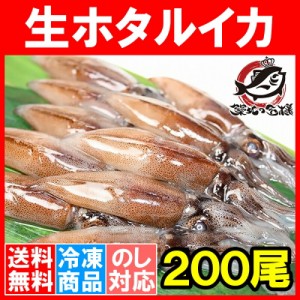 送料無料 生ホタルイカ ほたるいか 200尾 約150g×10パック お刺身ＯＫ！新物ほたるいか。シーズン最盛期！富山産ほたるいかは大きくぷり