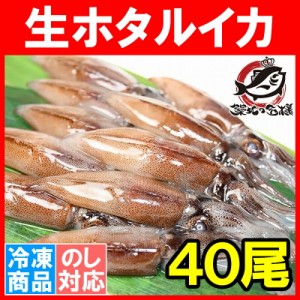 生ホタルイカ ほたるいか 40尾 約150g×2パック お刺身ＯＫ！新物ほたるいか。シーズン最盛期！富山産ほたるいかは大きくぷりぷりの食感