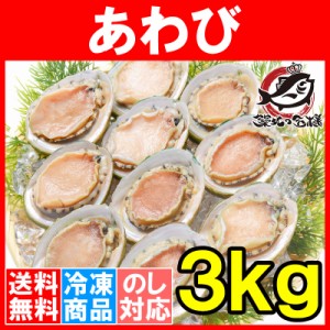 送料無料 あわび Lサイズ 3kg 合計36個 1箱12個入り 殻つきお刺身用アワビ 高級料亭でも使用する新鮮な殻付きあわび！【あわび アワビ 鮑